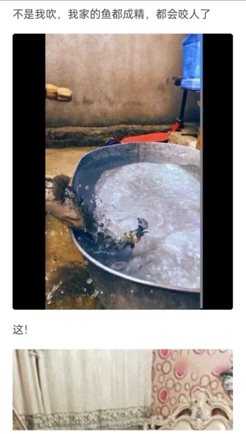 微信图片_202508051741421.jpg 微信图片_202508051741421.jpg